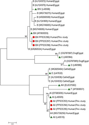 Microscopy detection and molecular characterisation of Giardia duodenalis infection in outpatients seeking medical care in Egypt